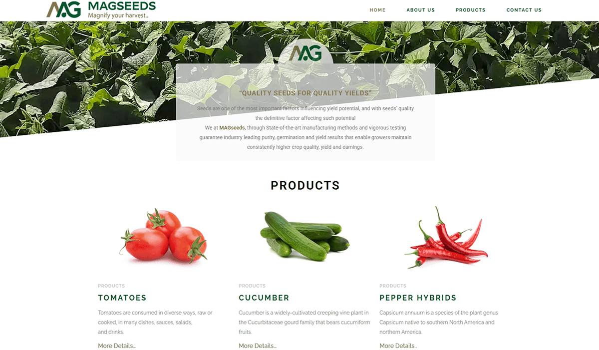 projects_magseeds_digital_commerce_ecosystems_website-ui